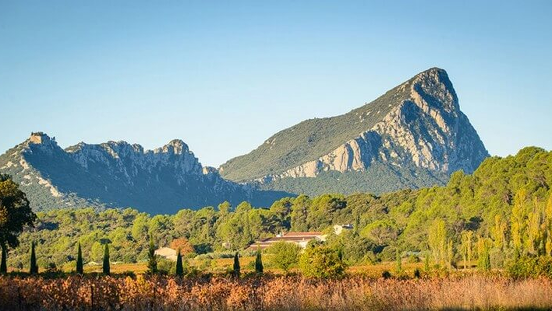 Le Pic Saint Loup
